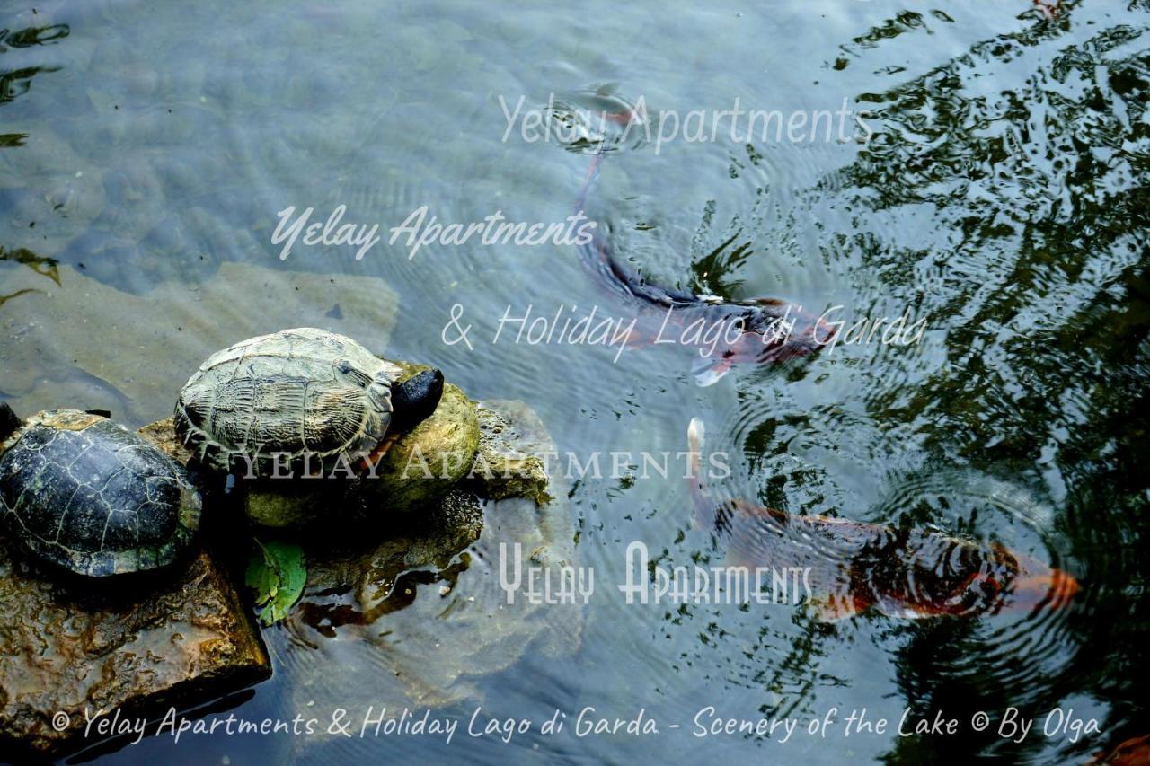 Yelay Apartments & Holiday Lago Di Garda Raffa Екстериор снимка
