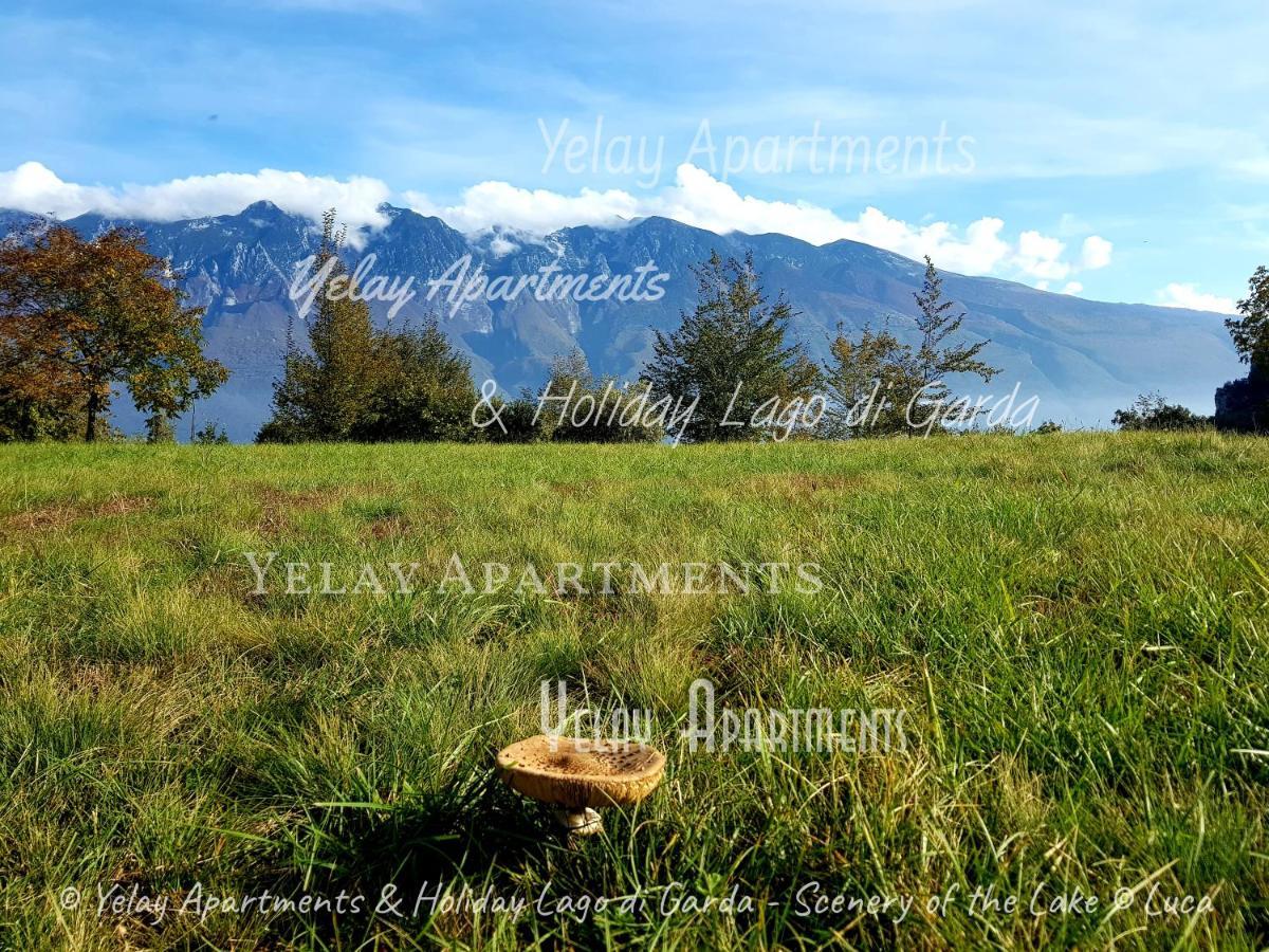 Yelay Apartments & Holiday Lago Di Garda Raffa Екстериор снимка